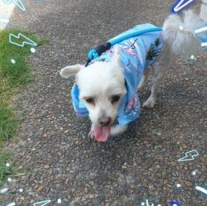 Meet your Posher, Debbie